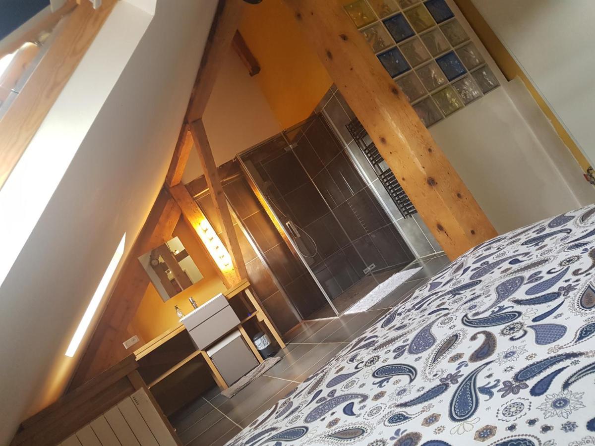 Loft Dans Les Pyrenees Apartment Oloron-Sainte-Marie Exterior photo